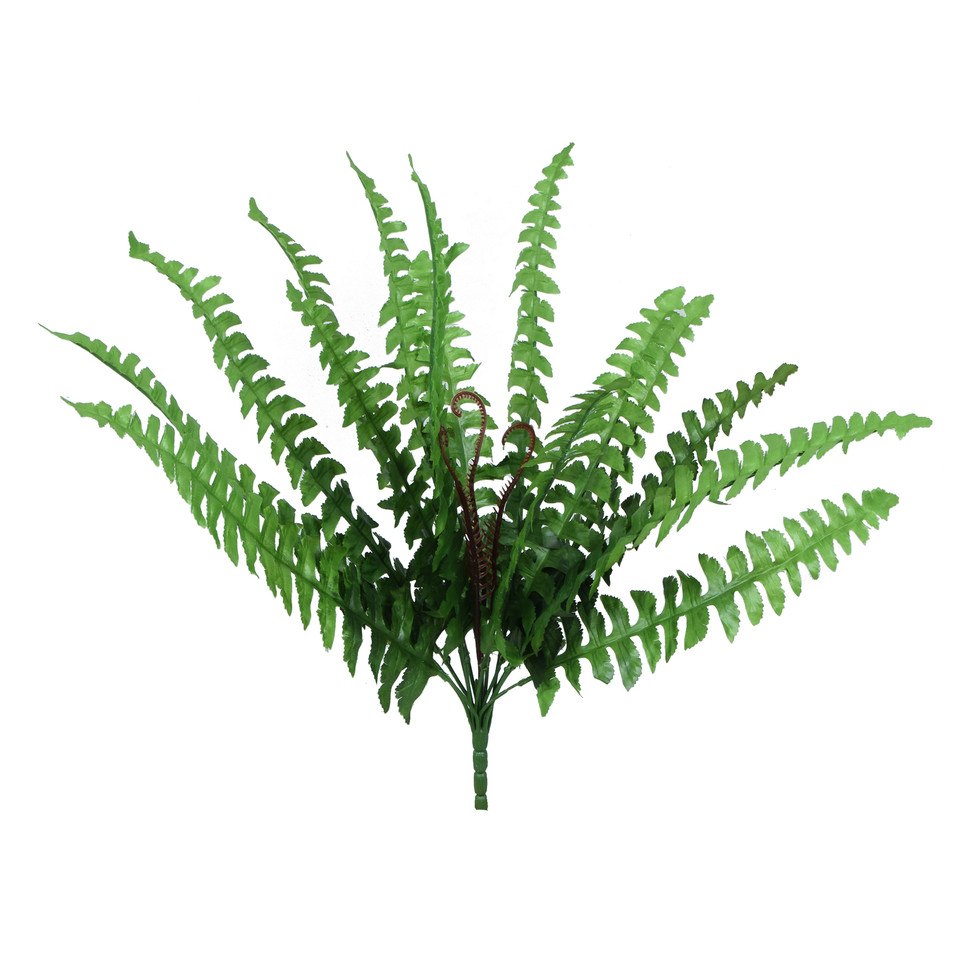 Paproć - bukiet 59 cm, green R587-00