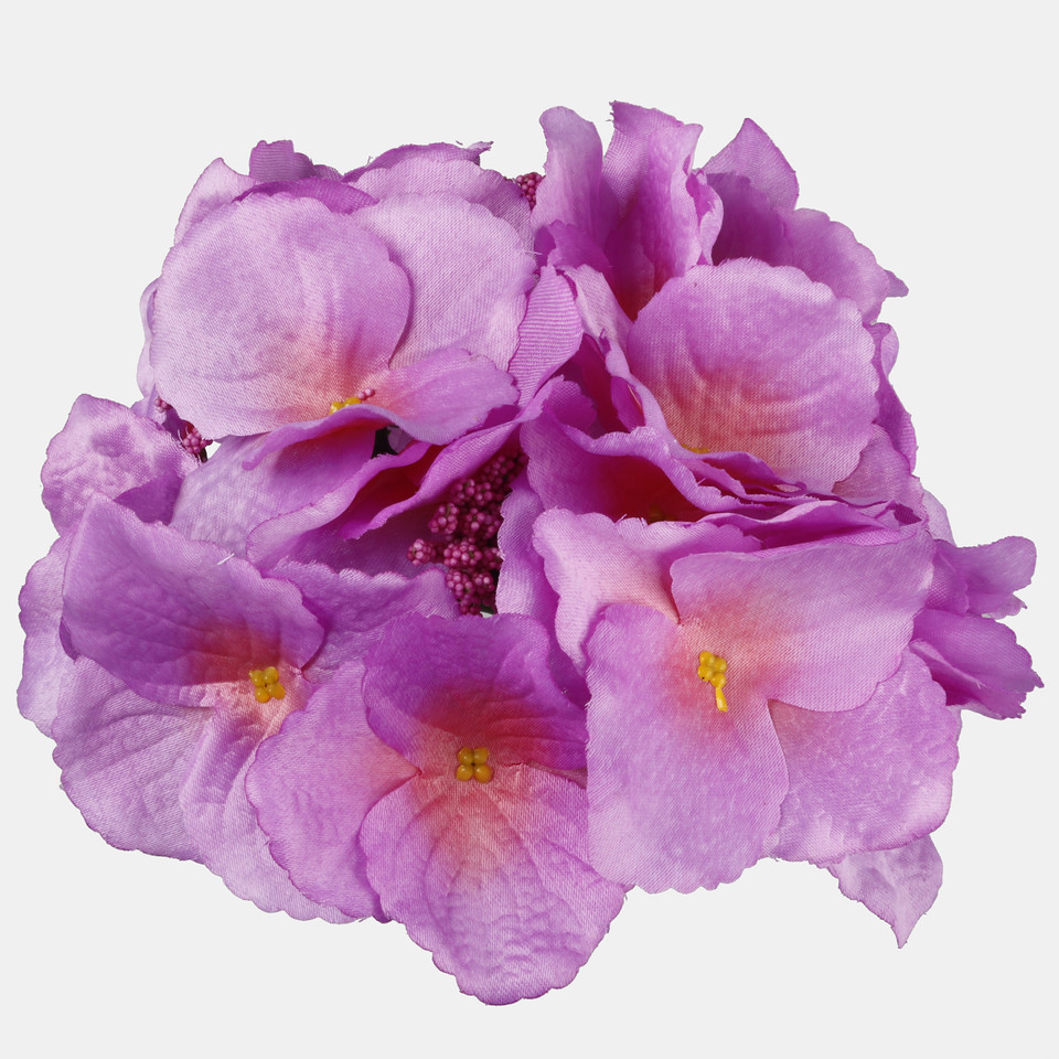 Hortensja satynowa, Lilac W611-13