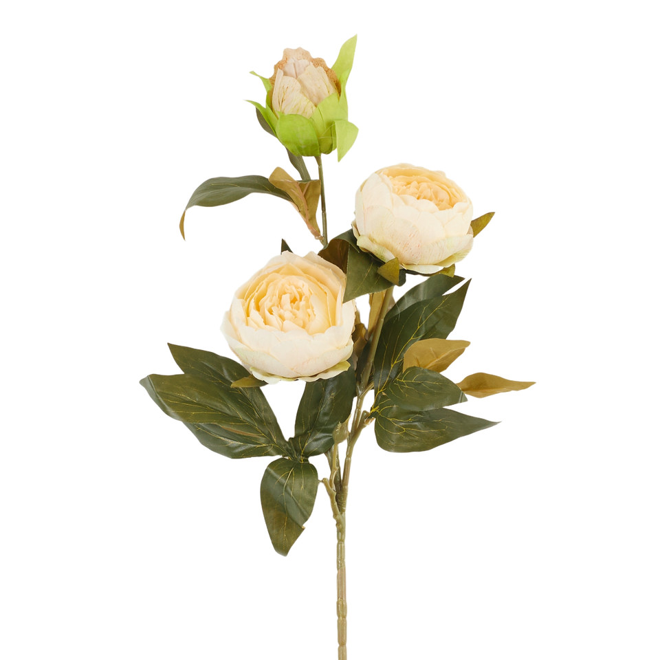 Peonia – gałązka x3, 3 B38-03
