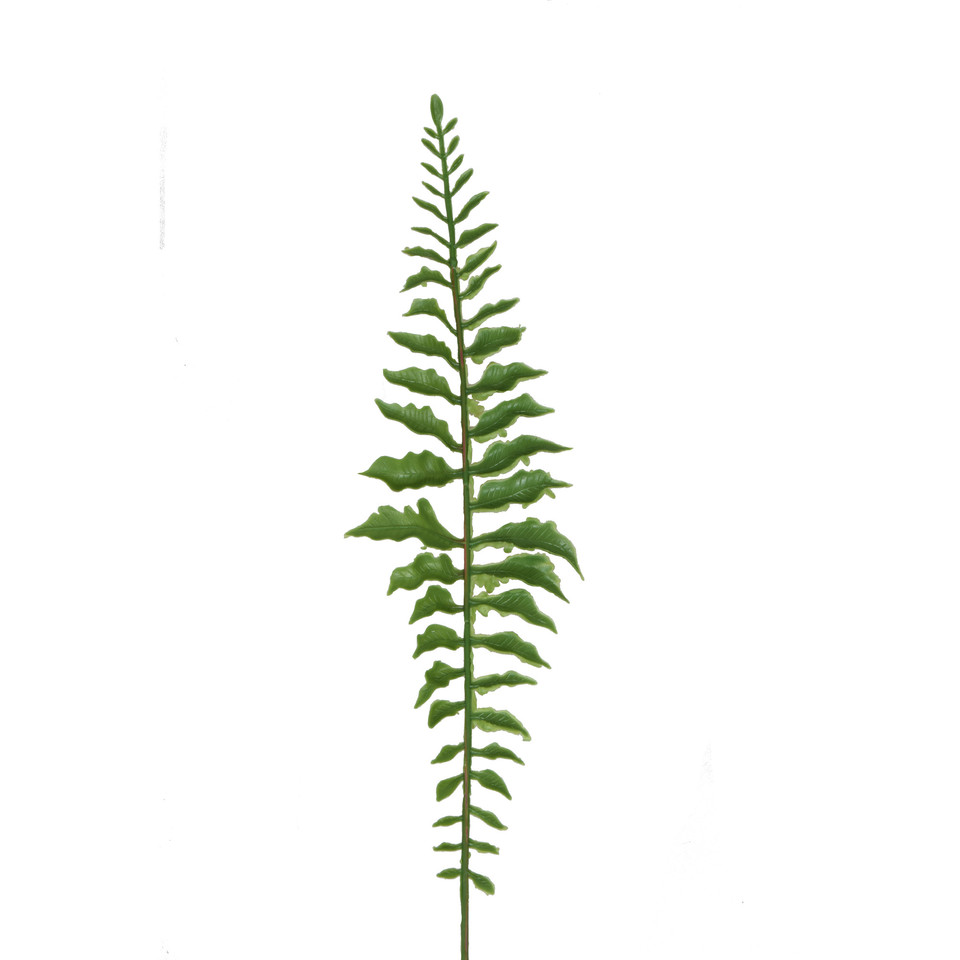 Paproć - liść 42 cm, green L607-00