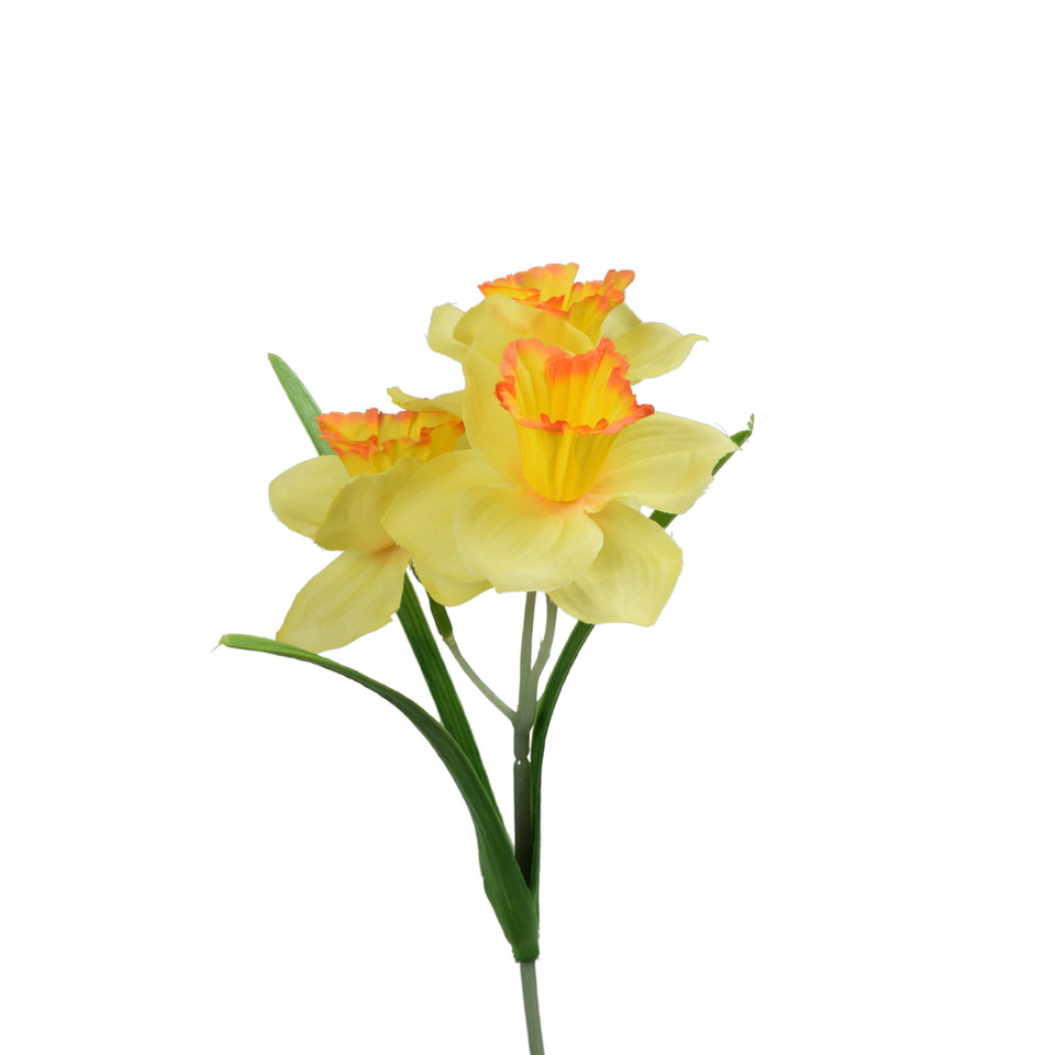 Żonkil - pik 35 cm, Mix DK074E-m