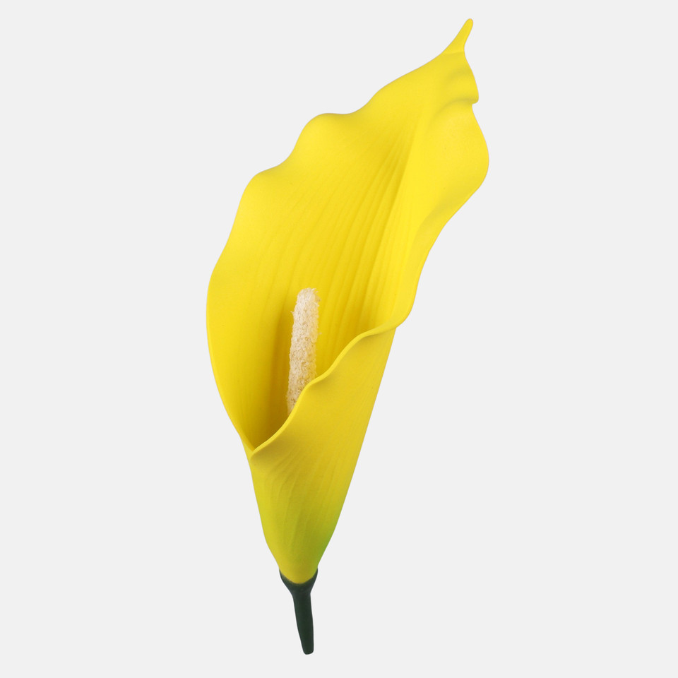 Kalla, Yellow W738-08