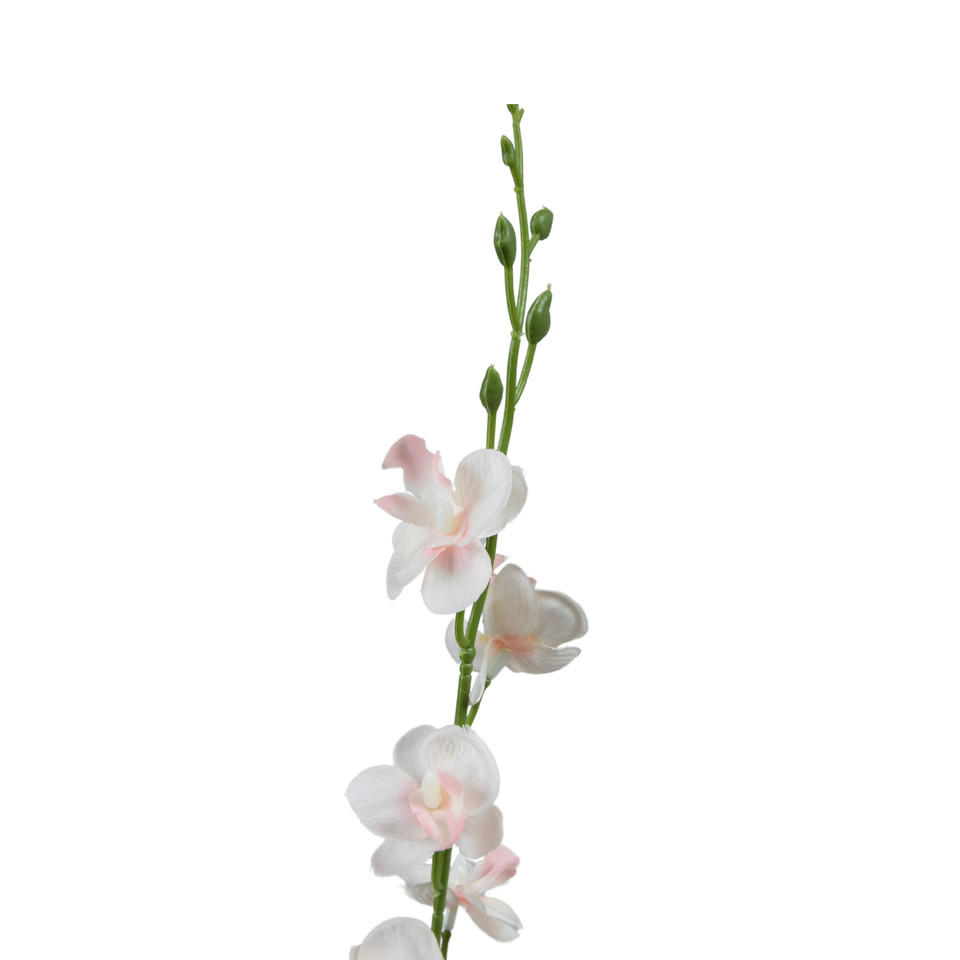 Storczyk Mini - gałązka 52 cm, m K607-m