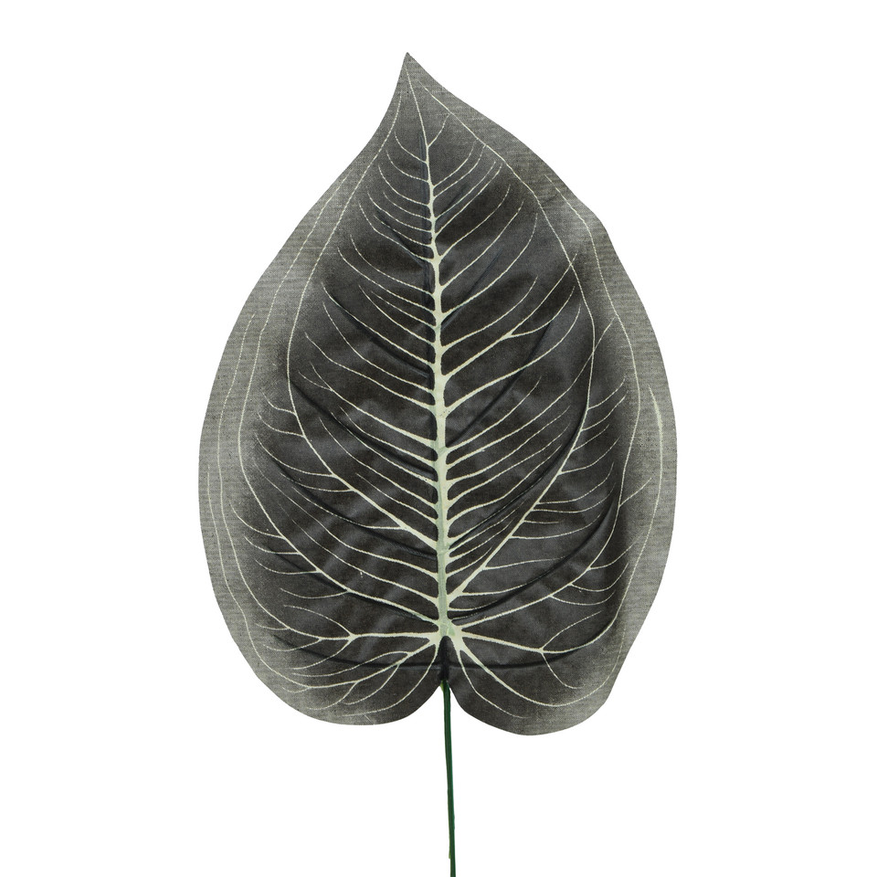 Hosta - liść 47 cm L495-00
