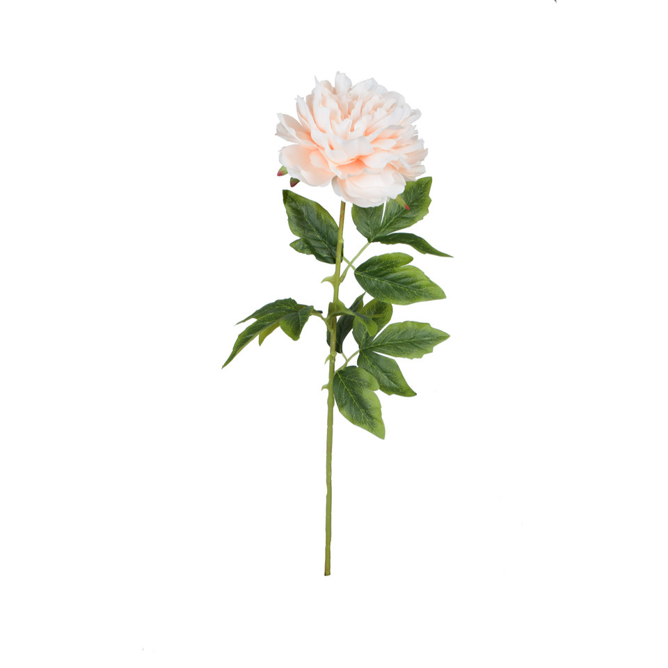 Peonia - gałązka 68 cm, m K415-m