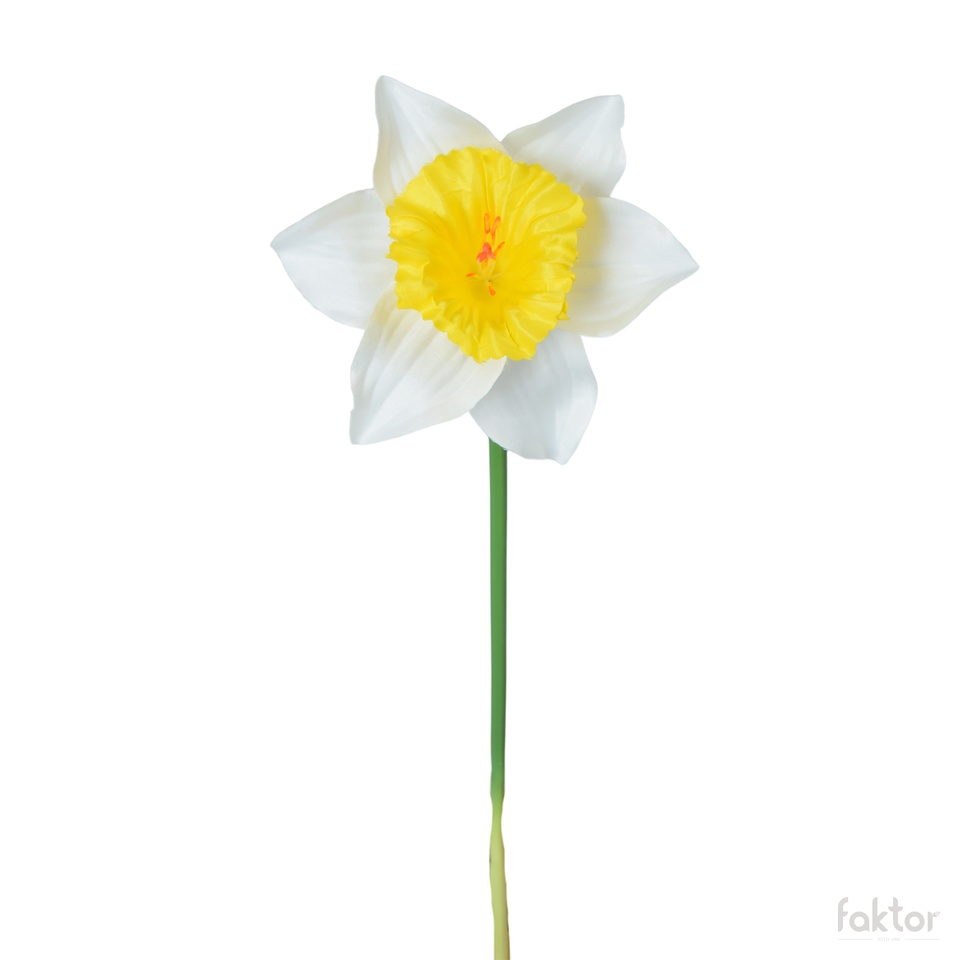 Żonkil - gałązka 39 cm, m K550E-m