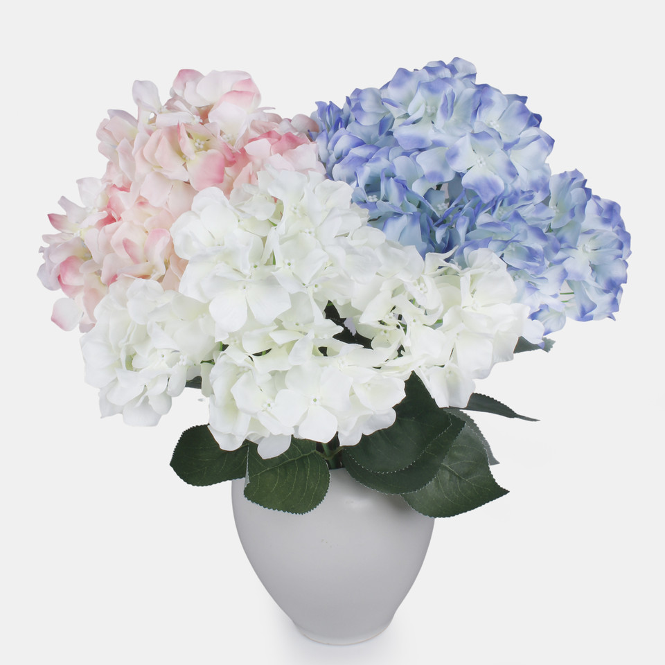 Hortensja x 5, Blue QA129-04