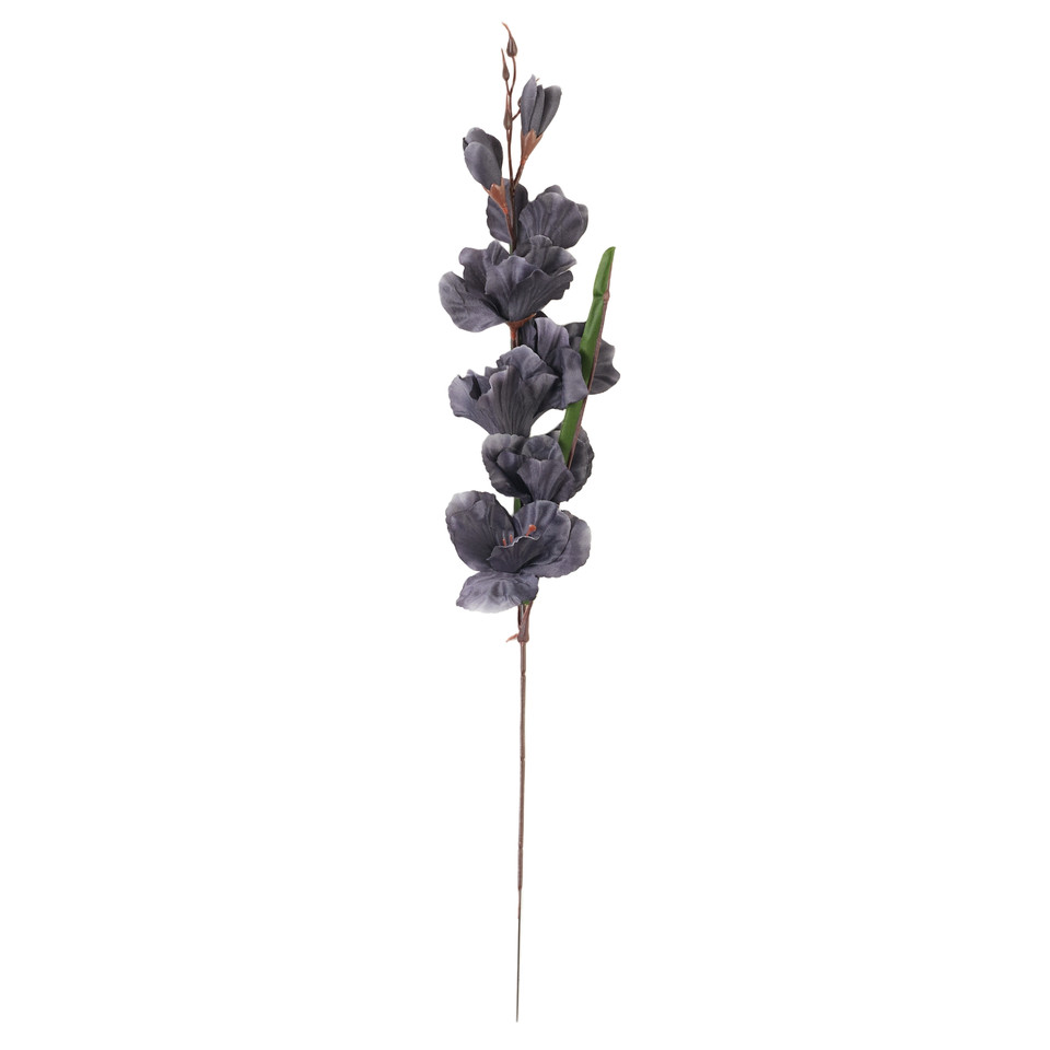 Mieczyk - gałązka 63 cm, 30 black AL183-29