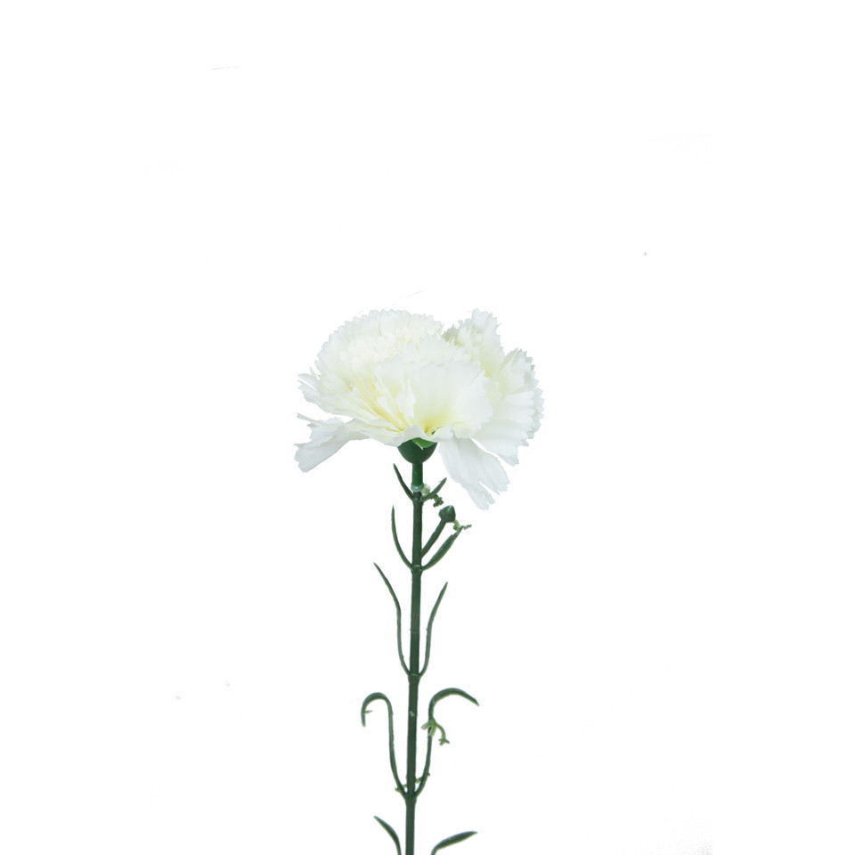 Goździk - gałązka 53 cm, m K402-m