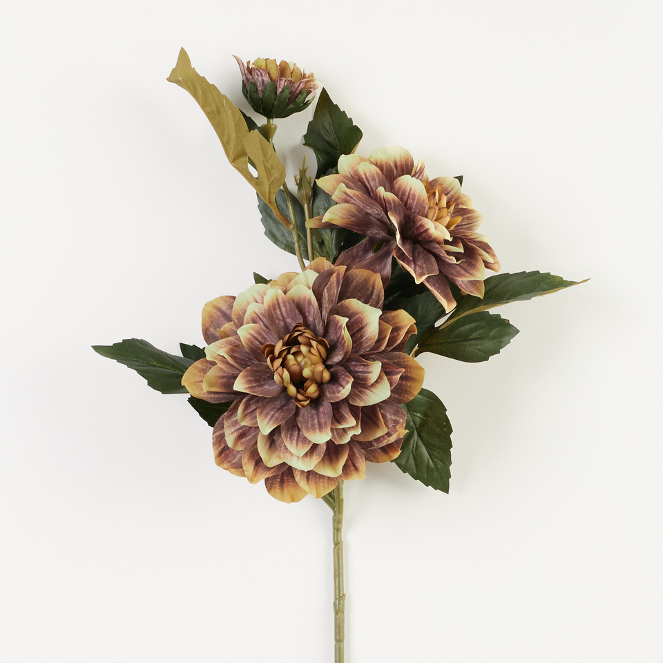 Dalia – gałązka, 8 B31-48