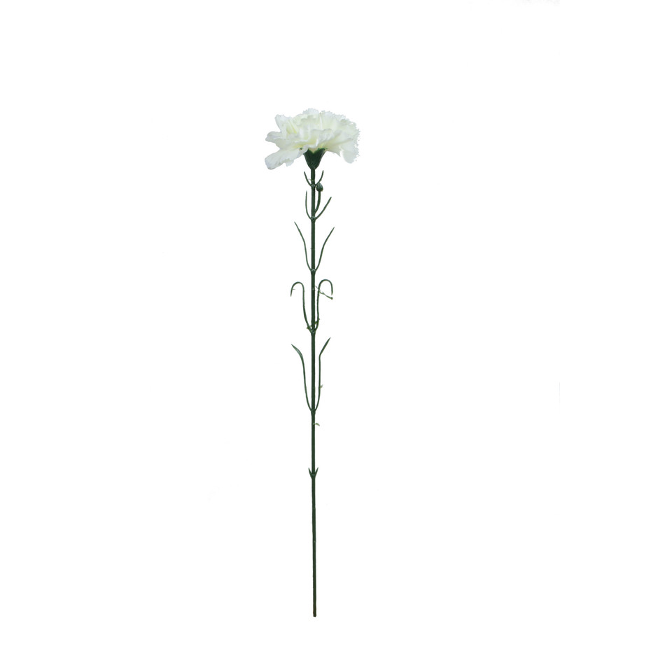 Goździk - gałązka 54 cm, m2 GK148-m2