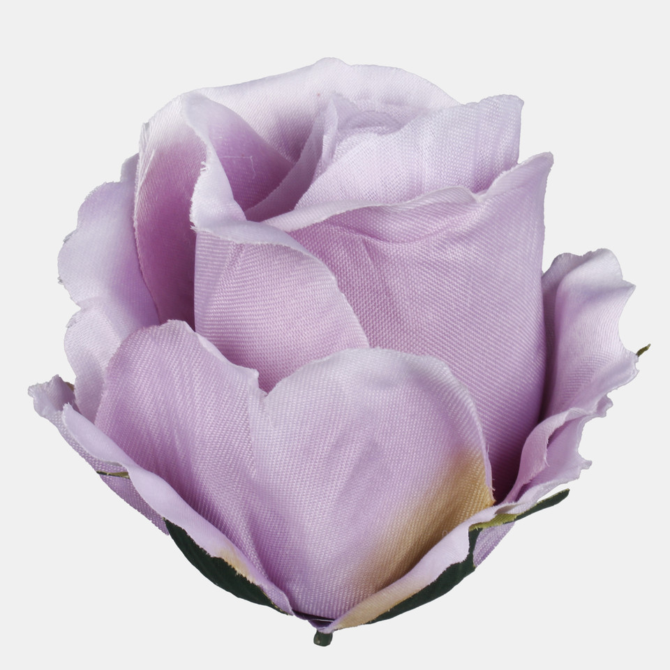 Róża w pąku, Autumn Lilac W732-07