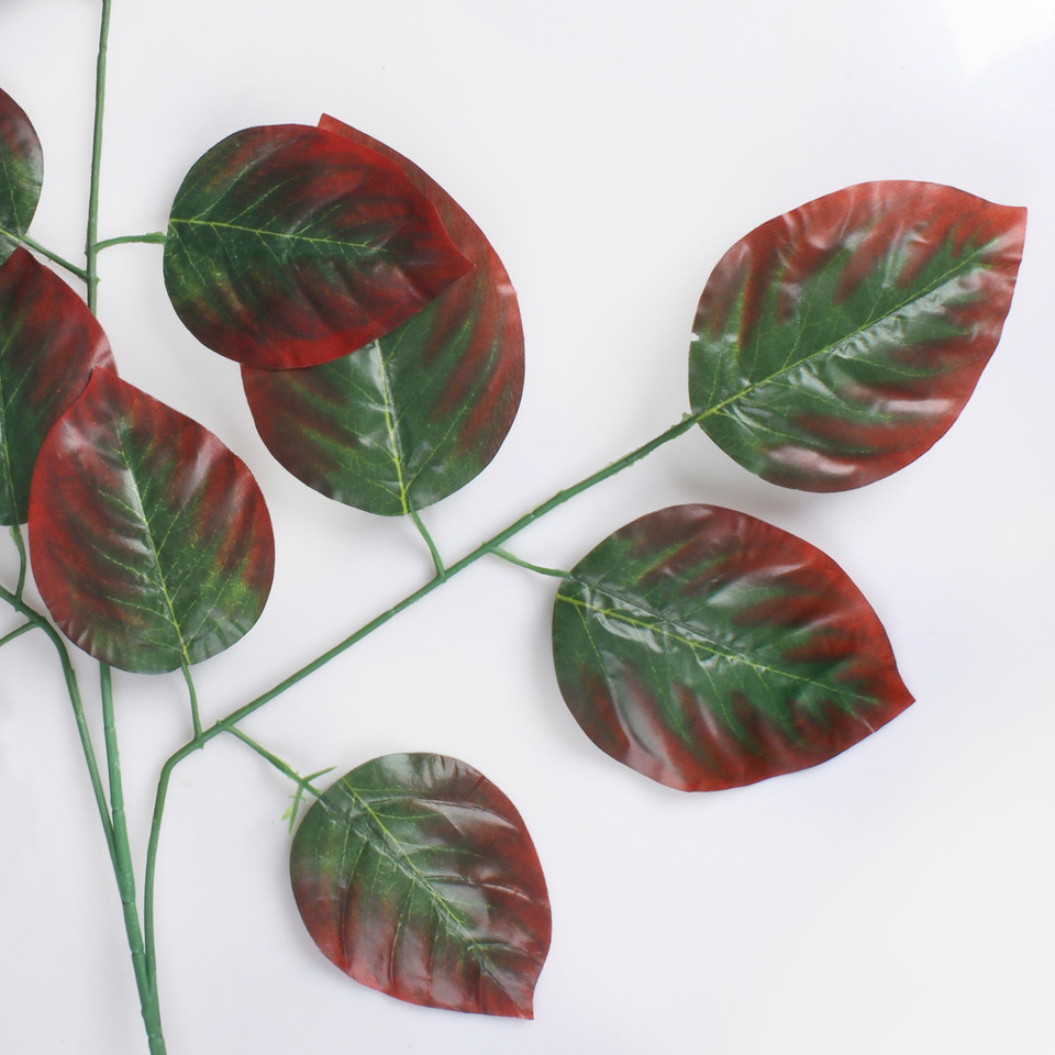 Beech, Green/Brown F231-01
