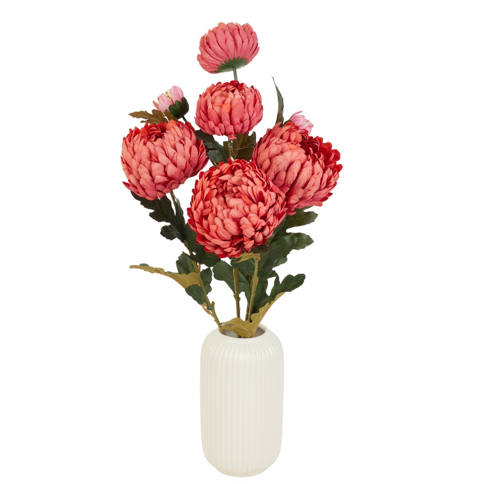 Chryzantema - bukiet x 5  65cm, #66 UJ11-66