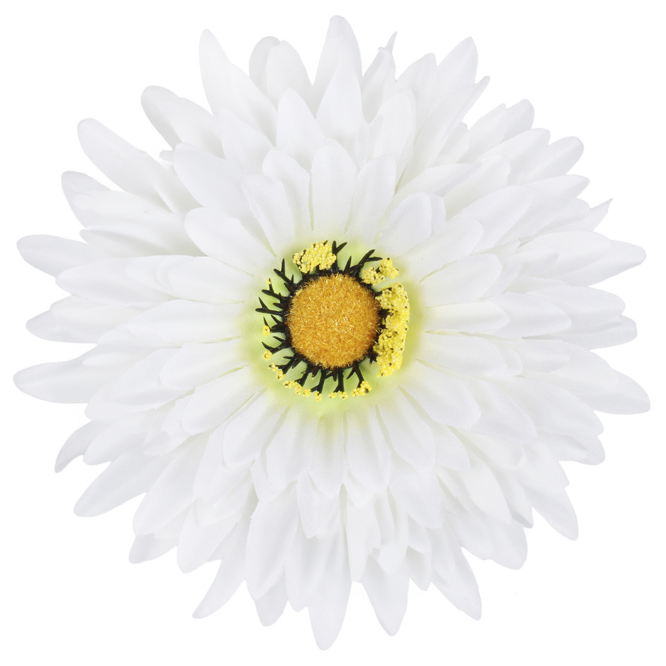 Gerbera  XXL, Cream/Green W539-02