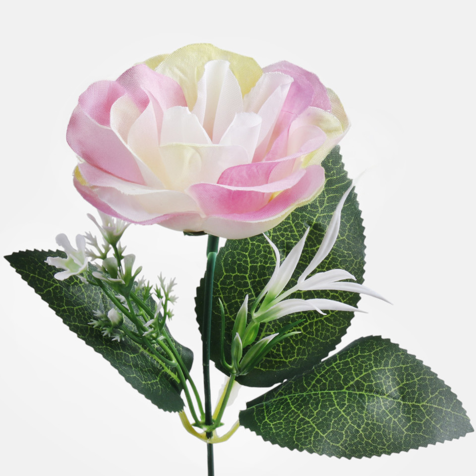 Róża, Cream/Green/Pink Edge G435-04