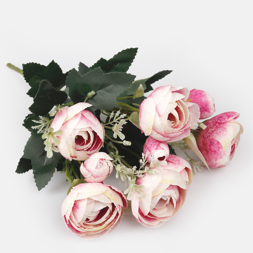 Camellia, Mix 1 QA126-01