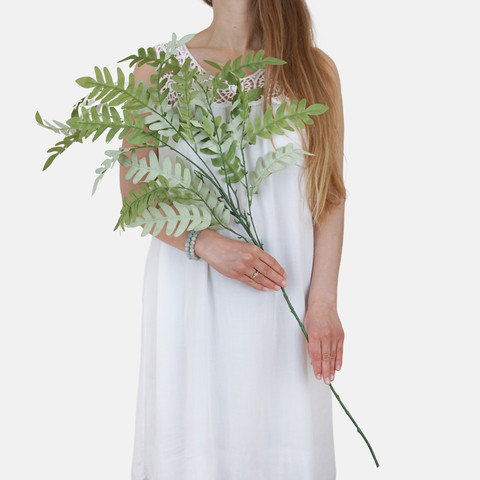 Fern F137