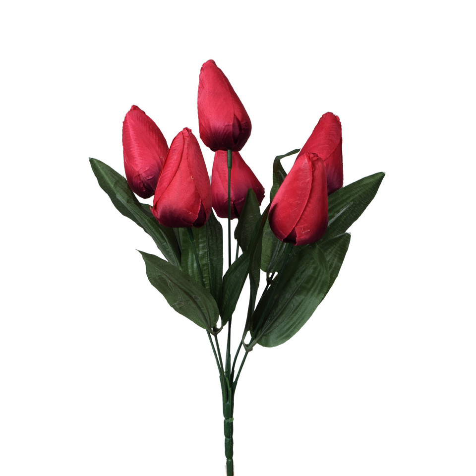 Tulipany - bukiet x6 35 cm, m U122-m