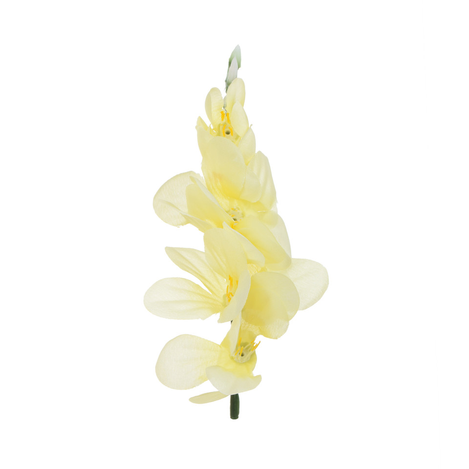 Frezja - główka 7,5 cm, cream W370-2