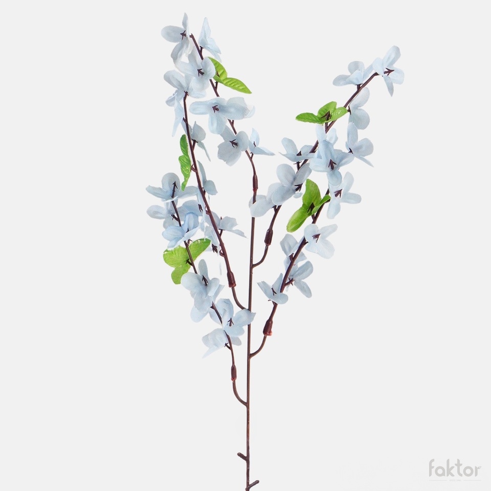 Forsythia, Lt. Blue G002A-04