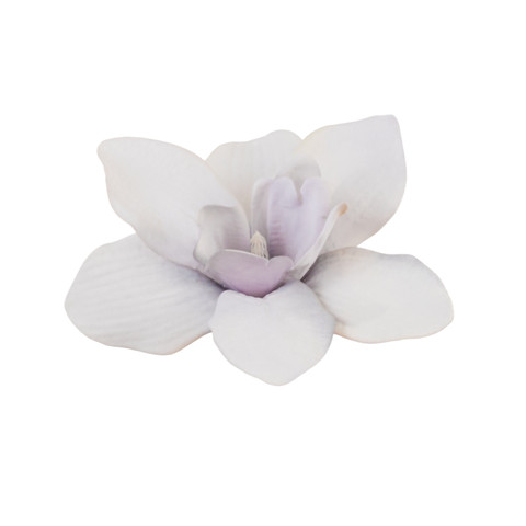 Orchid, 05 grey B93-05