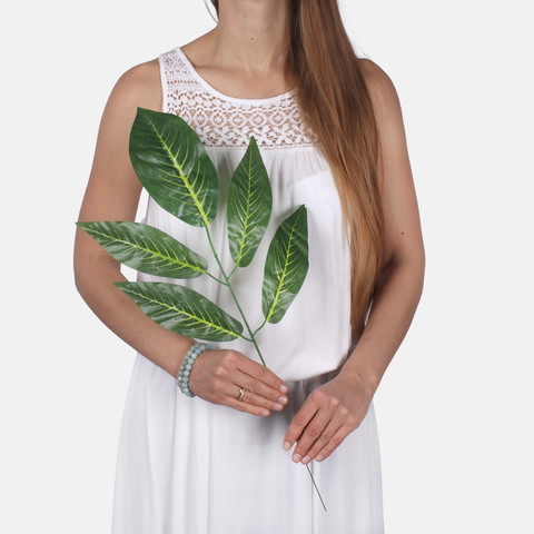 Mango F161F (Product size)