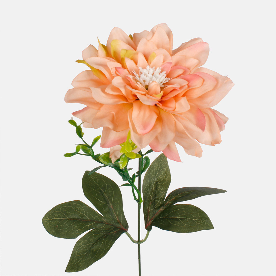 Dahlia, Lt. Peach/Pink/Lt. Green Edge G438-03