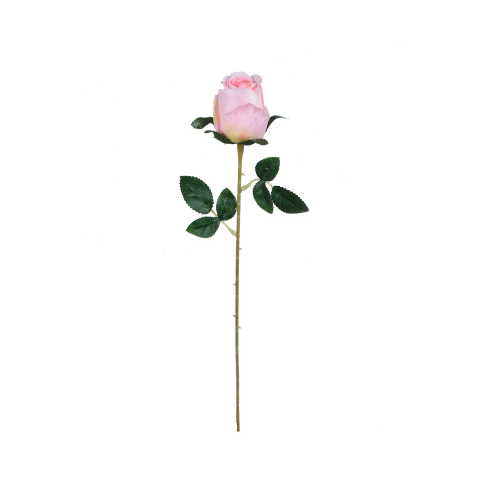 Róża - gałązka - 53 cm, m2 K404-m2