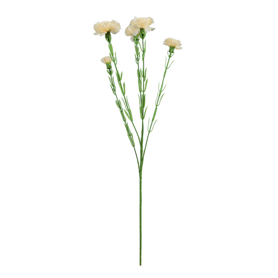 Goździk - gałązka 60 cm, m3 GK139-m3