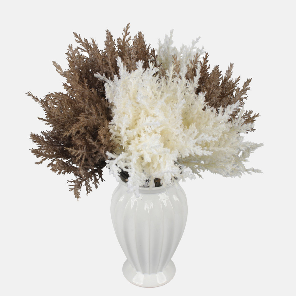 Reed inflorescence, Cream A774-01