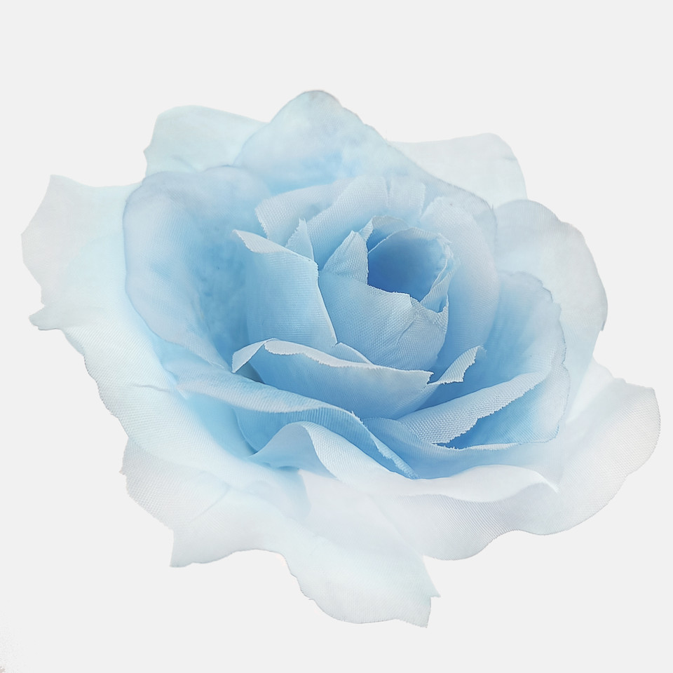 Róża francuska, Blue W087-54