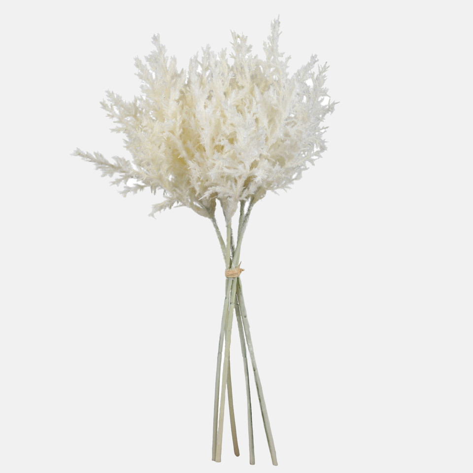Reed inflorescence, Cream A774-01