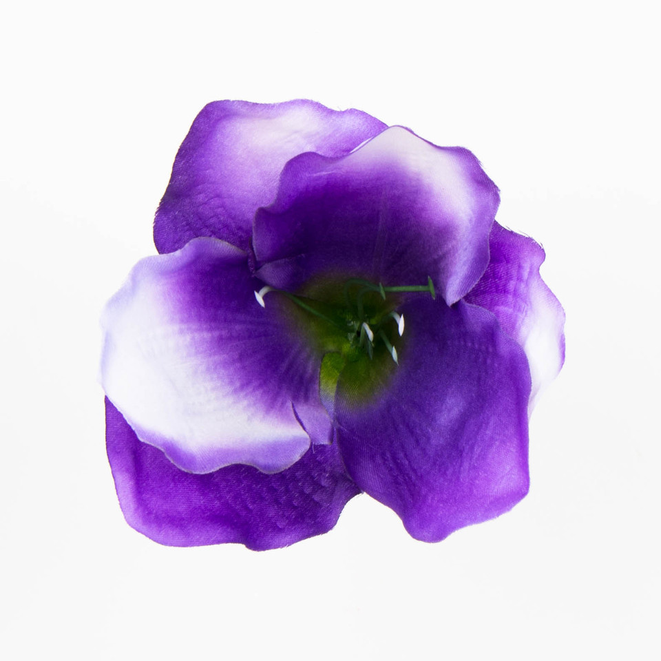 Amarylis – główka satyna, lilac/green W95-239