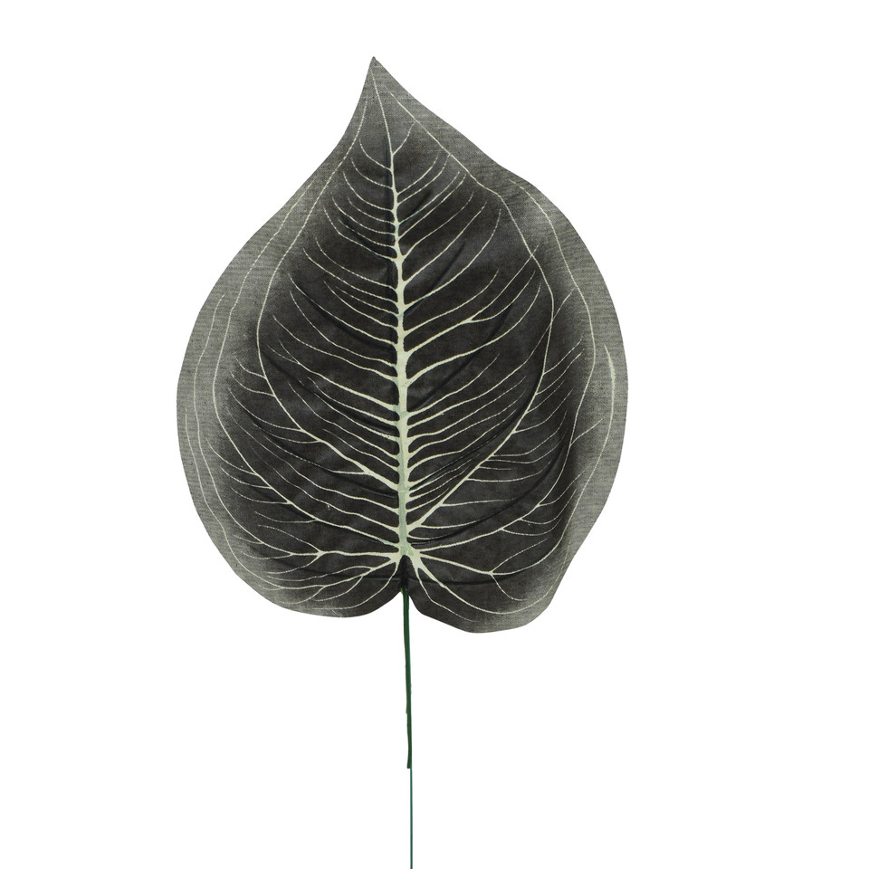 Hosta - liść 47 cm L495-00
