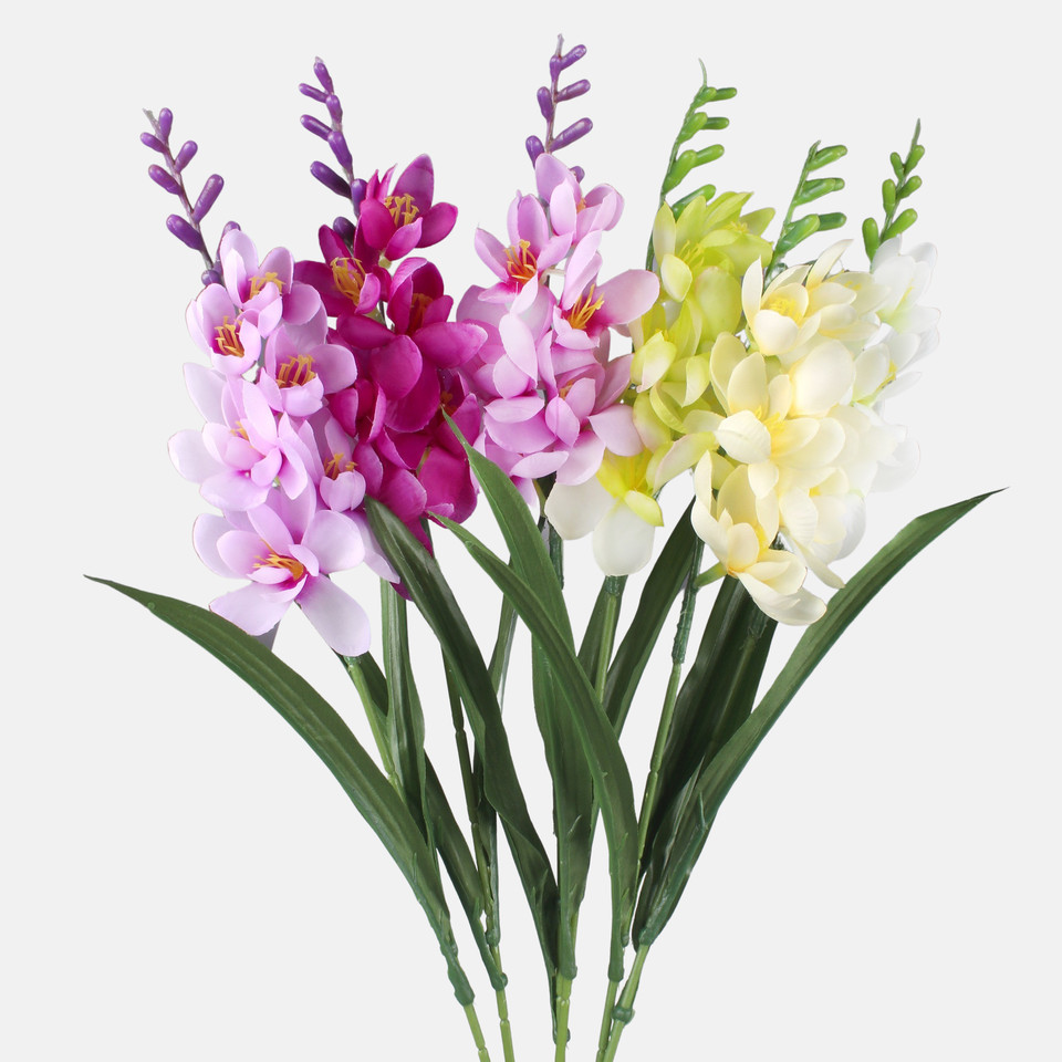 Freesia, Mix 1 G469-01