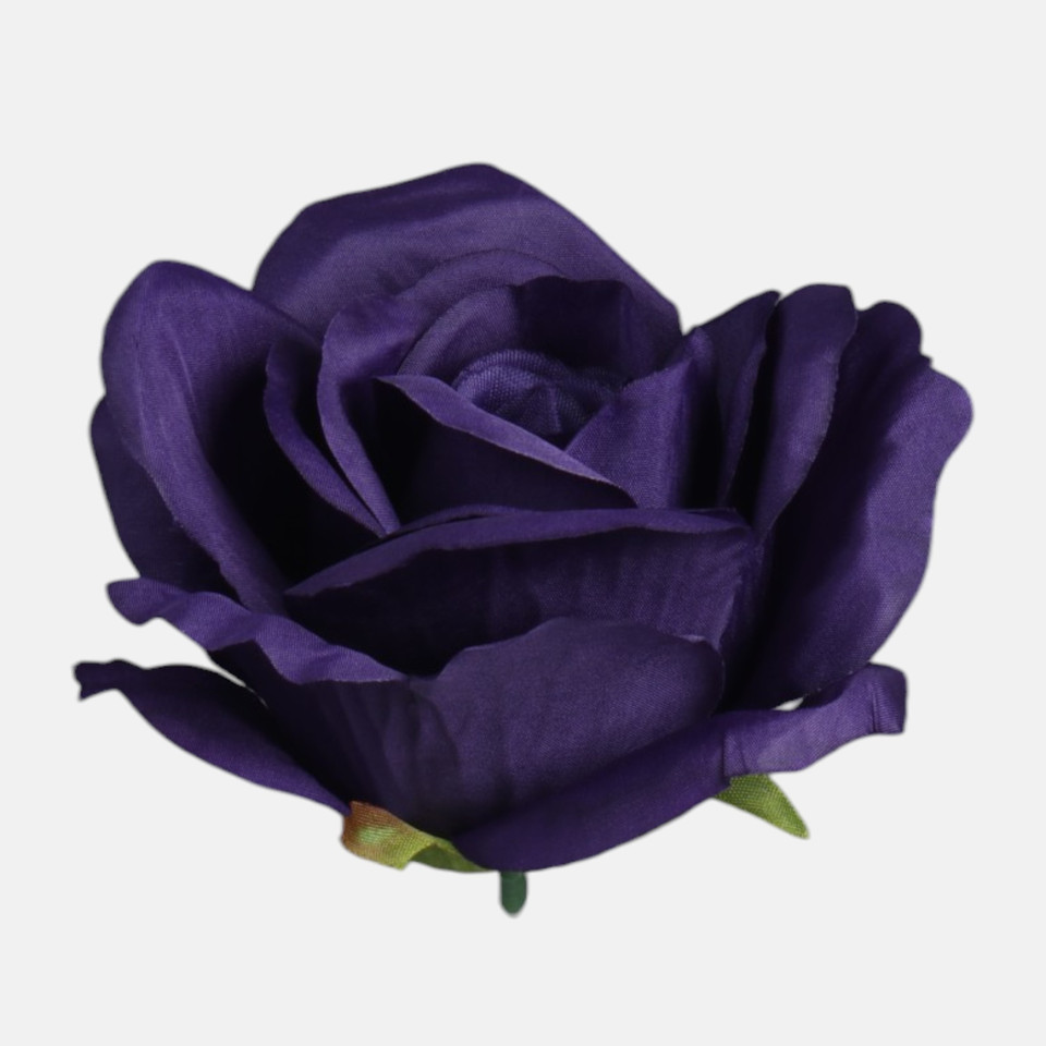 Róża, Dk. Violet W005-27