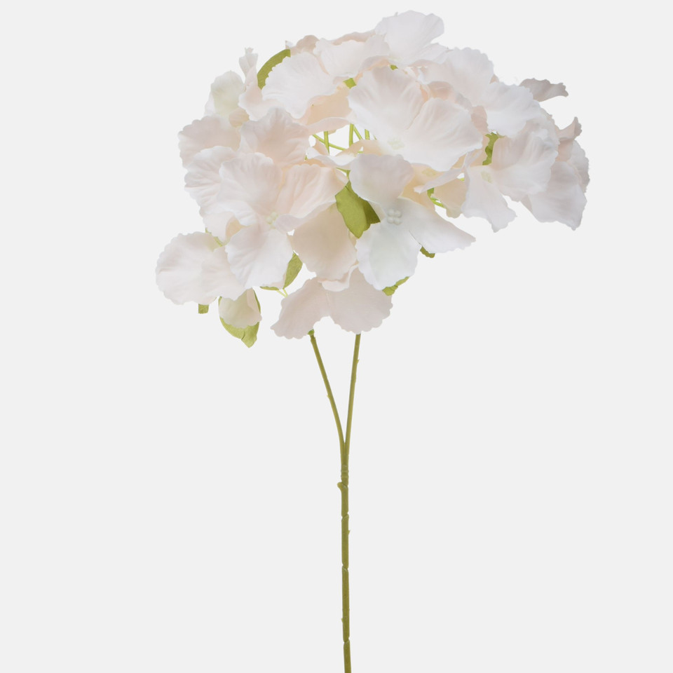 Hortensja, Cream/Lt. Pink BK320-03