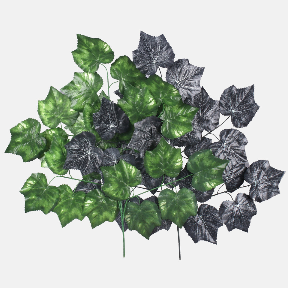 Maple, T.T. Green F204-01