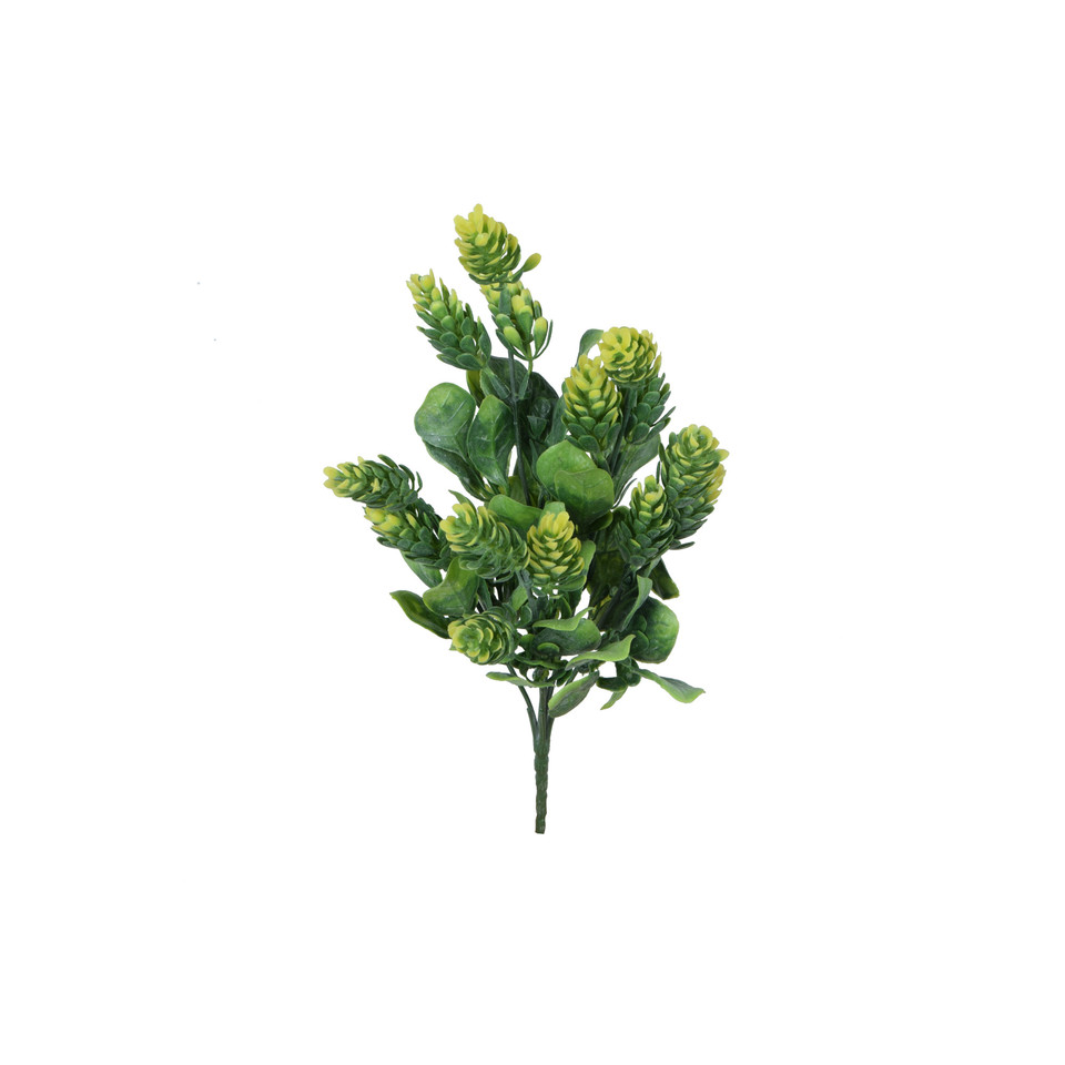 Chmiel - bukiet 30 cm, m R575-m