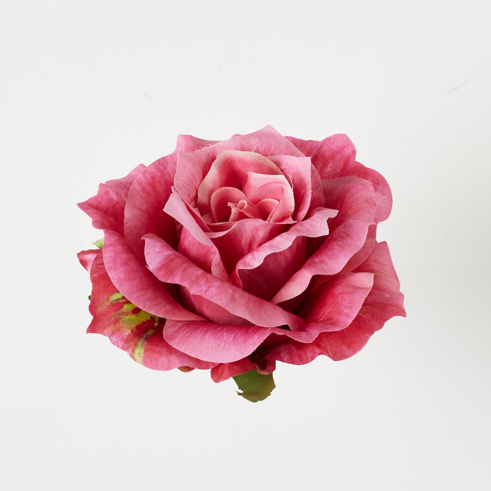 Rose, Dk Pink B52-071