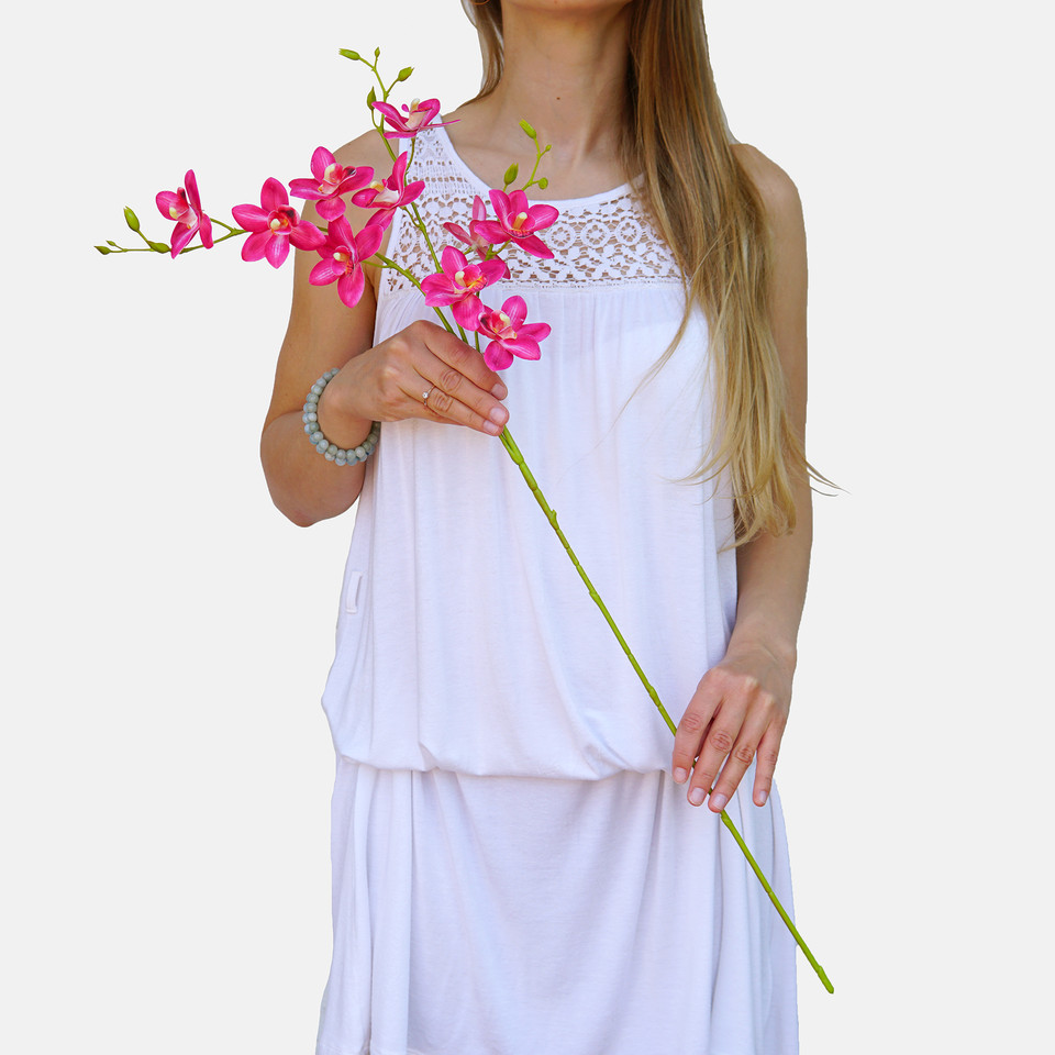Thai orchid L803L