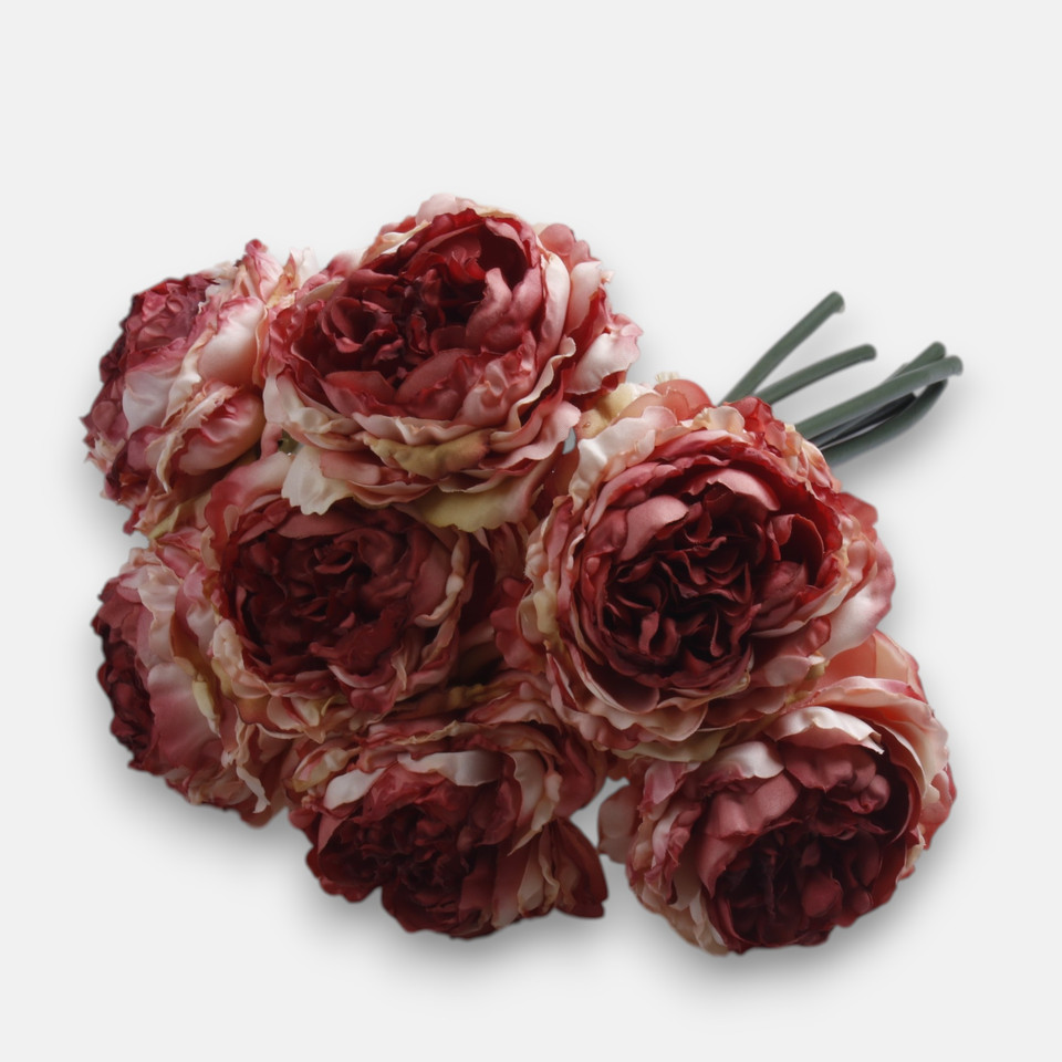 Peonia x 7, Pink QA416-03