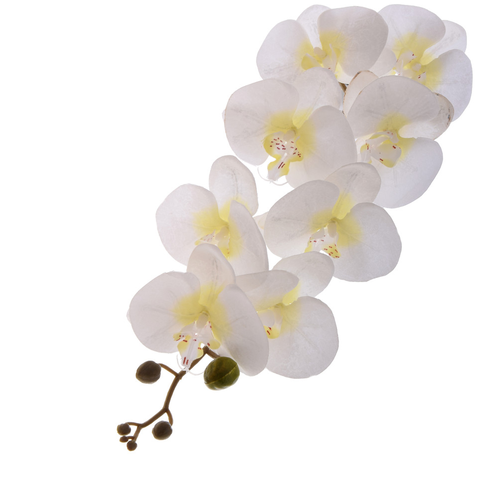 Storczyk - gałązka satynowa 92 cm, cream K218-02