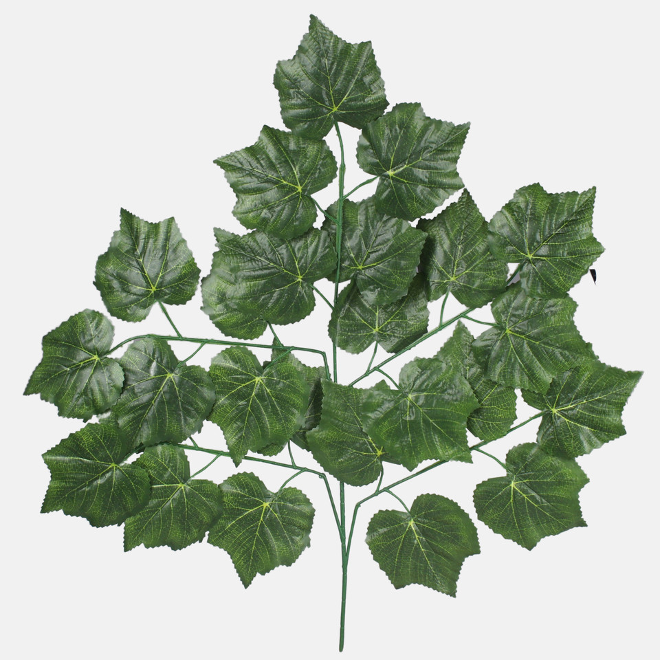 Maple, Dk. Green F178-01