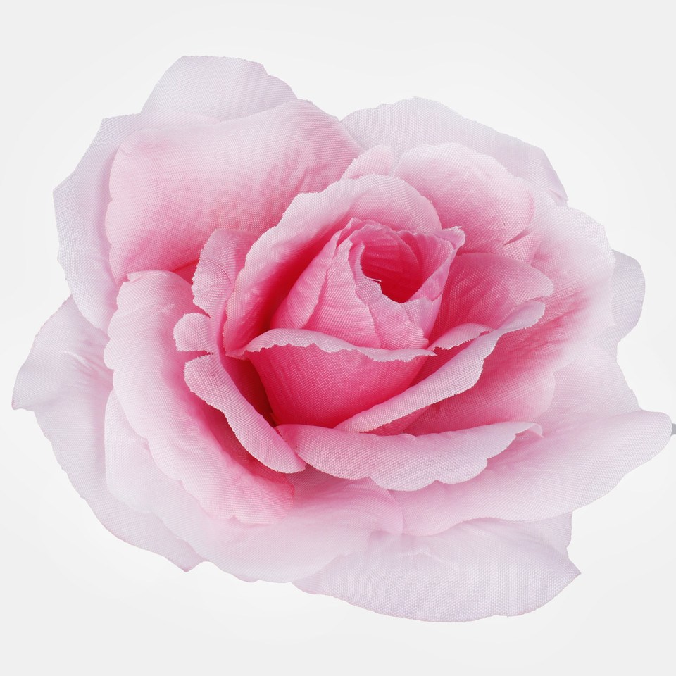 Róża francuska, Lt. Pink W087-38