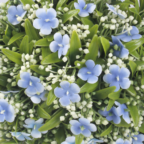 Niezapominajka bukiet, Blue QA317-02