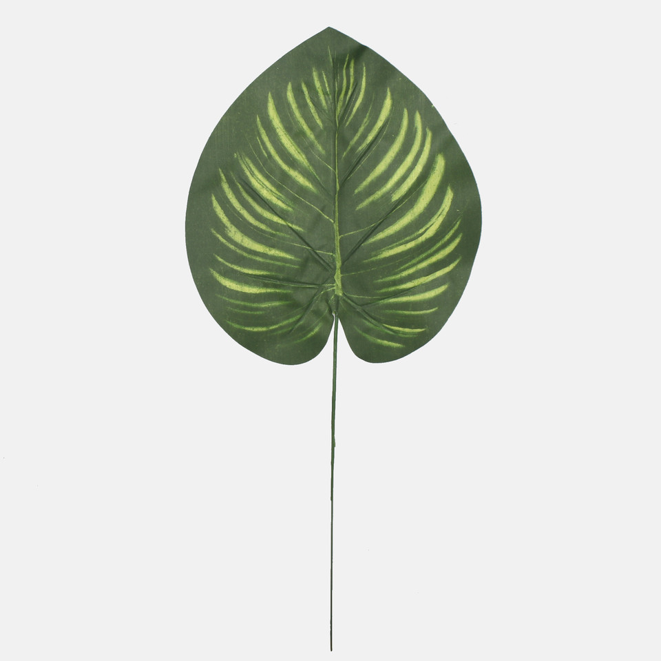 Philodendron leaf, Green A687