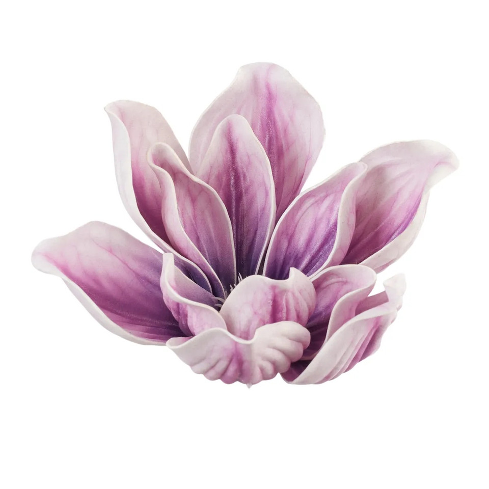 Magnolia, Violet B109-03