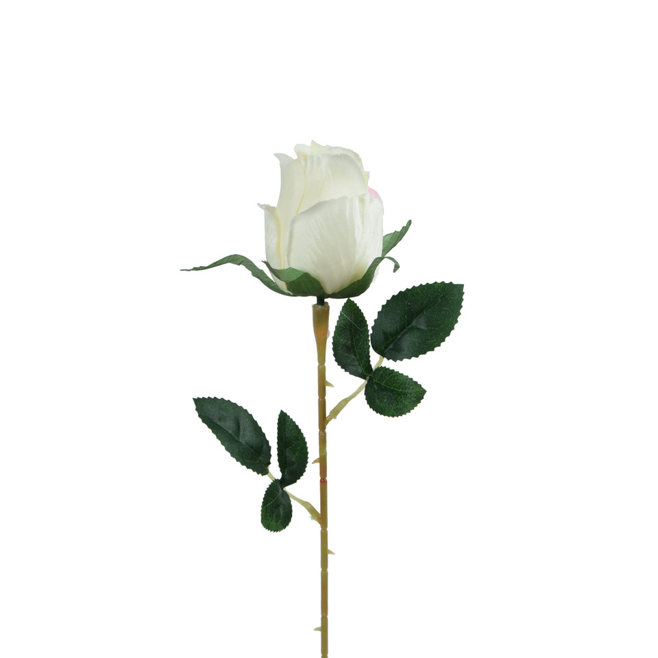 Róża - gałązka - 53 cm, m2 K404-m2